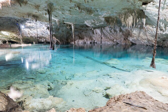 Cenotes Taak Bi Ha & Nicte Ha – VIP Snorkeling Private Tour - Private Pickup from Tulum: Getting There Without the Headache