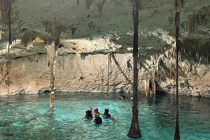 Cenotes Taak Bi Ha & Nicte Ha – VIP Snorkeling Private Tour - Parque Dos Ojos Area + Jungle Lunch: Fuel Before You Drive Back