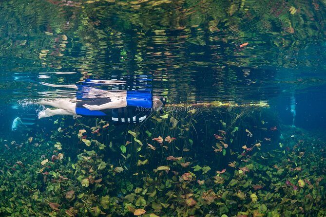 Cenotes Taak Bi Ha & Nicte Ha – VIP Snorkeling Private Tour - Timing That Works: 4 to 5 Hours Without Feeling Rushed