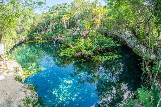 Cenotes Taak Bi Ha & Nicte Ha – VIP Snorkeling Private Tour - Stop 1: Cenote Nicte Ha and Its Sunlit, Easy Snorkeling