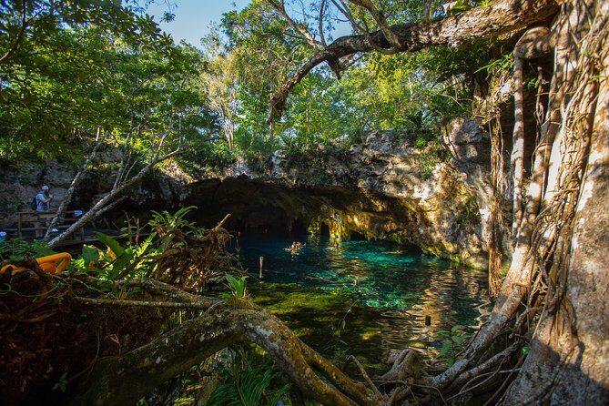 Cenotes trail jungle bike tour in Tulum with lunch - Why This Tulum Jungle Bike Tour Works in About Five Hours