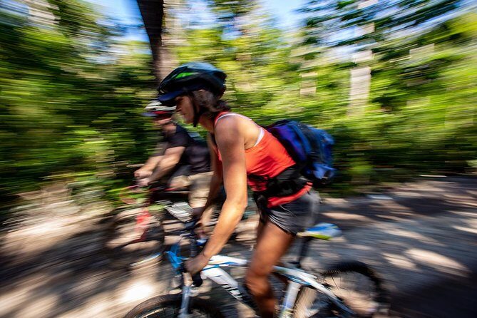 Cenotes trail jungle bike tour in Tulum with lunch - What Safety and Guide Quality Look Like Here