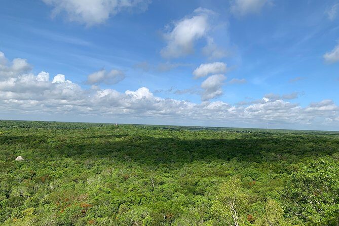Coba Ruins and Punta Laguna Monkey Reserve Day Tour from Tulum - Punta Laguna Natural Reserve: monkeys and a real ritual