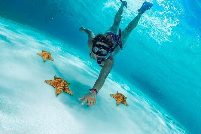 Cozumel Snorkel at El Cielo & 2 Reefs! Transportation from Tulum - Cozumel in One Long Day: What You’re Paying $175 For