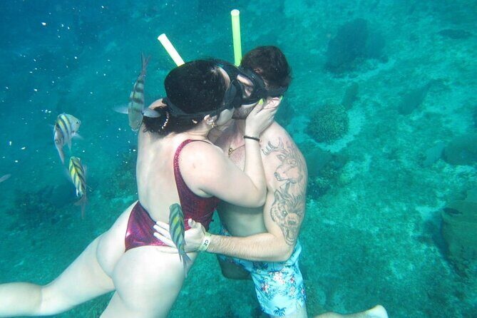 Cozumel Snorkel at El Cielo & 2 Reefs! Transportation from Tulum - Palancar Reef and Columbia Reef: Turtles, Eagle Manta Rays, and Lots of Fish