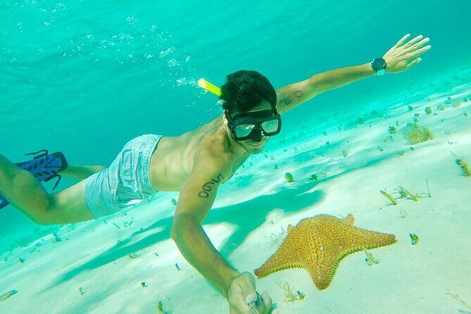 Cozumel Snorkel at El Cielo & 2 Reefs! Transportation from Tulum - Lunch by the Pool and Free Time in Cozumel’s Center