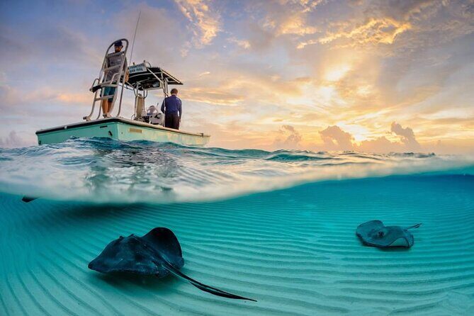 Cozumel Snorkel at El Cielo & 2 Reefs! Transportation from Tulum - Weather, Waves, and When Rescheduling Actually Makes Sense