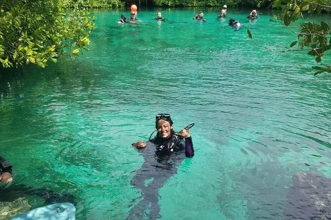 Discover Scuba Diving at Casa Cenote - Casa Cenote: A beginner-friendly cenote in the mangroves