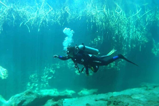 Discover Scuba Diving at Casa Cenote - The coached underwater experience at Casa Cenote (about 7 m / 21 ft)