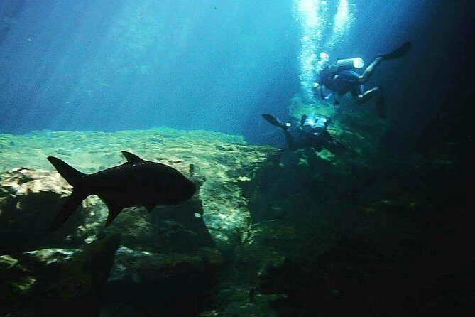 Discover Scuba Diving at Casa Cenote - Should you book Discover Scuba at Casa Cenote?