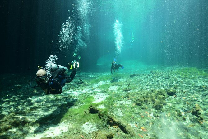 Discover Scuba Diving in Tulum - How the 5-Hour Schedule Flows (And What Each Step Feels Like)