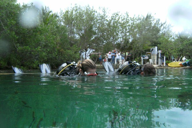 Discover Scuba Diving in Tulum - Gear, Snacks, and the Little Things That Make It Worth $140