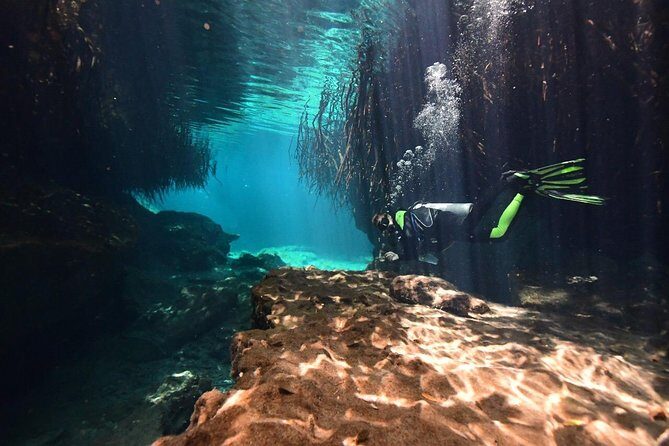 Discover Scuba Diving in Tulum - Where You’ll Meet, How Easy It Is to Get There, and Group Size