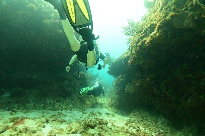 Discover Scuba Diving in Tulum - Weather Can Change the Plan, But the Cenote Focus Holds