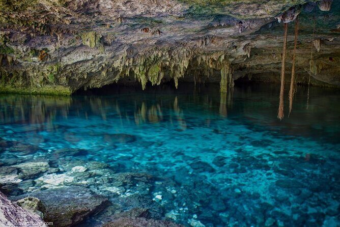 Discovering Breathtaking Cenotes in Tulum - Snorkel time: gear included, and how to make it effortless