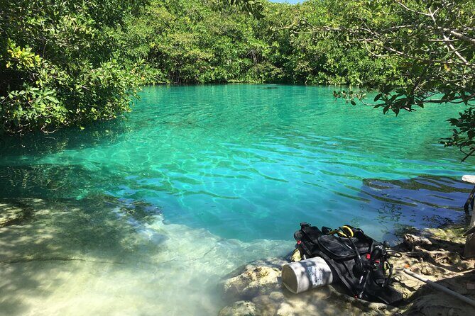 Discovering Breathtaking Cenotes in Tulum - Food, snacks, and the half-day pacing you’ll feel good about