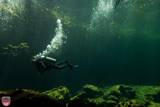 Discovery Scuba Diving - PADI Discover Scuba in Tulum: who it fits and what you’ll do