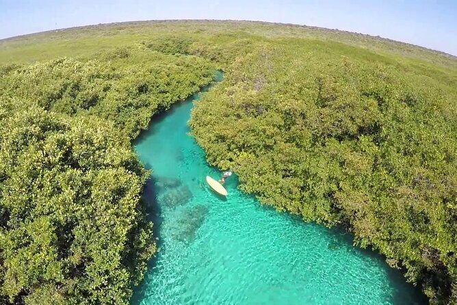 Discovery Scuba Diving - Pool skills: getting comfortable before Casa Cenote
