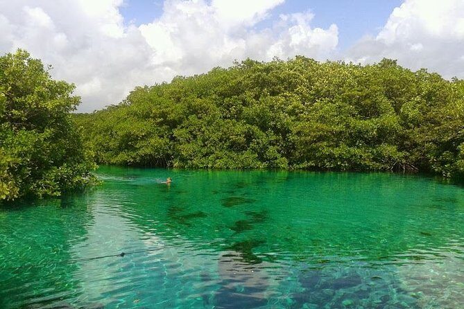 Discovery Scuba Diving - Casa Cenote open-water session: what you’ll see and how it feels