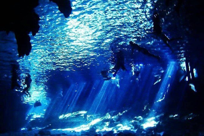 Dos Ojos Cenote Cavern Dive- The Barbie Line and The Bat Cave - Price and value: is $230 fair for Dos Ojos cavern sessions?