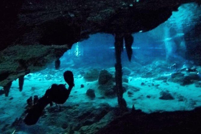 Dos Ojos Cenote Cavern Dive- The Barbie Line and The Bat Cave - Cavern vs cave: what staying in daylight really means
