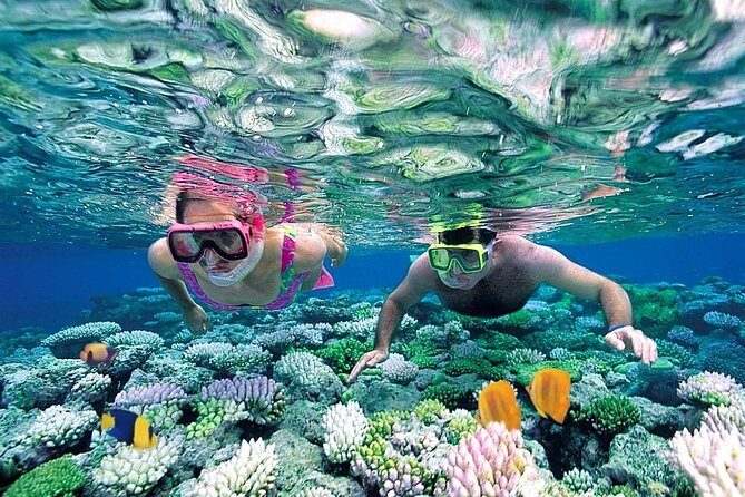 Exclusive Sailing Isla Mujeres. Top tour! - Isla Mujeres island time: beach club, lunch, and going around