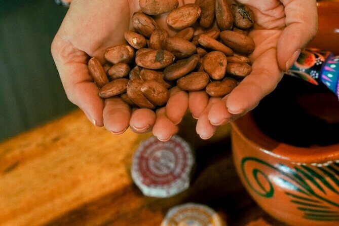 Fine Mexican Chocolate Tasting: A Sensory Luxury Journey - How terroir, fermentation, roasting, and conching change the flavor