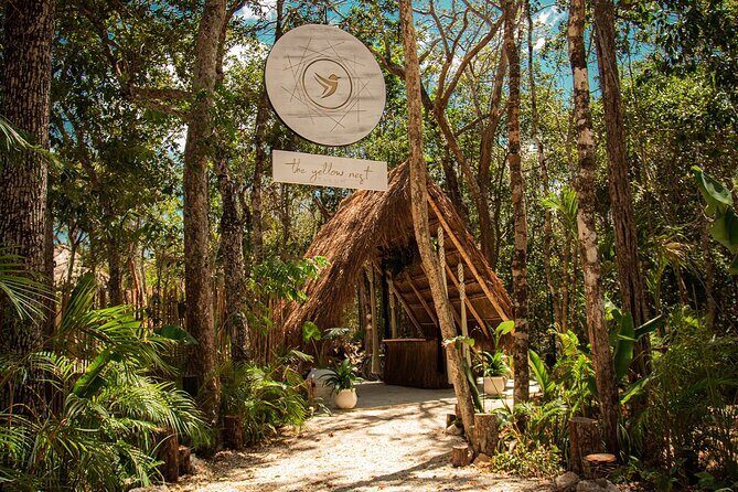 Floating breakfast in The Yellow Nest (near Dos Ojos cenote) - Getting there near Cenote Dos Ojos: arrival and your first drink