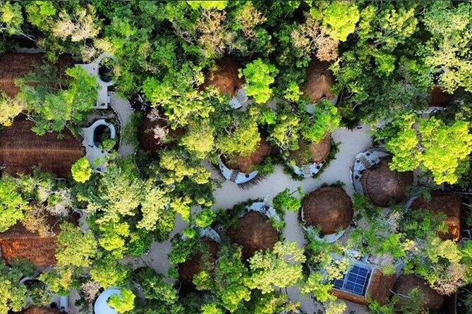 Floating breakfast in The Yellow Nest (near Dos Ojos cenote) - Cenotes and local recommendations: what to do after breakfast