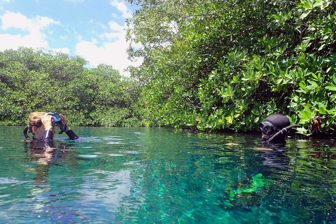 Freediving Intro for Beginners in a Cenote in Tulum Mexico - Off-limits cenote areas: the “why” behind the guided access
