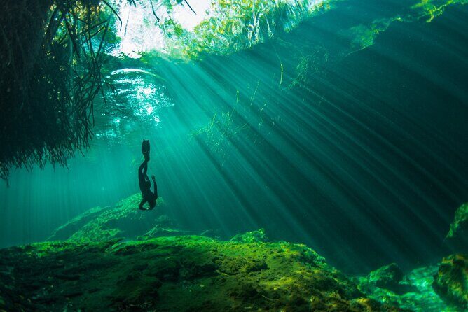 Freediving Intro for Beginners in a Cenote in Tulum Mexico - Safety, depth control, and the human factor that beginners need