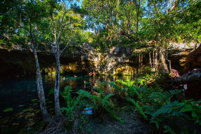 From Riviera Maya: 3 Cenotes Adventure Tour with Lunch - Who this tour suits best (and who should think twice)