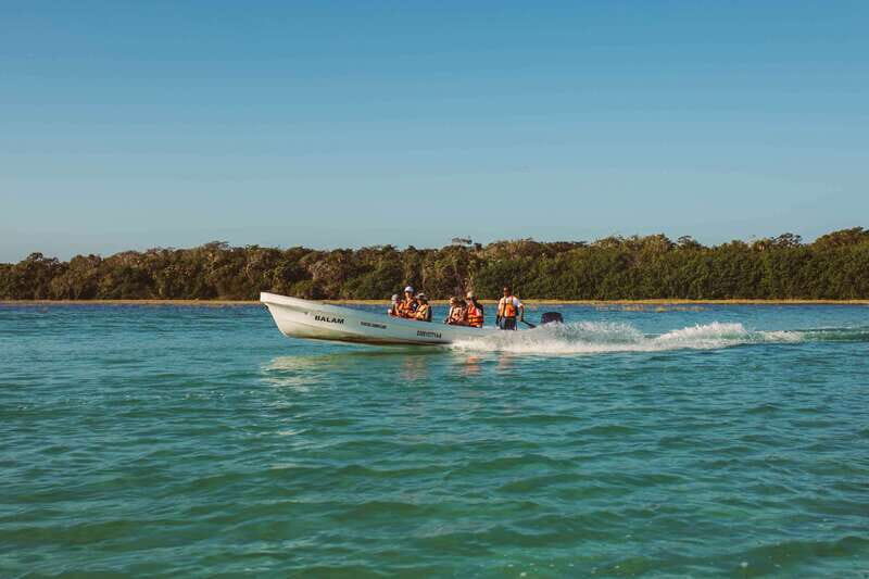 From Riviera Maya: Sian Ka'an Half Day Tour w/ Lunch - Key highlights to know before you go