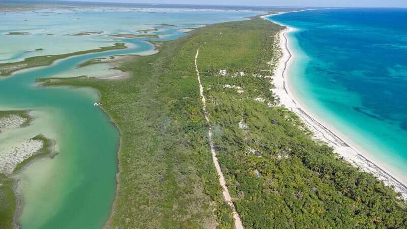 From Riviera Maya: Sian Ka'an Half Day Tour w/ Lunch - Snorkel on the Mesoamerican Barrier Reef—or an Open Cenote if Weather Turns