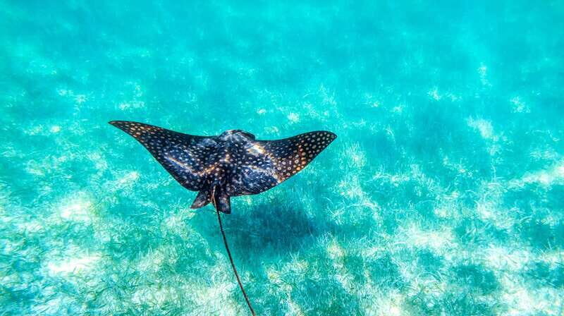 From Riviera Maya: Sian Ka'an Half Day Tour w/ Lunch - Price and Value: Is $204 Worth It?