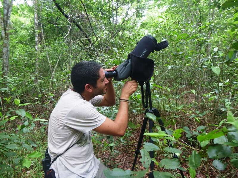 From Riviera Maya : Sian Ka'an Muyil Birdwatching with Guide - Why Muyil is a birdwatcher’s morning (and not just a stroll)