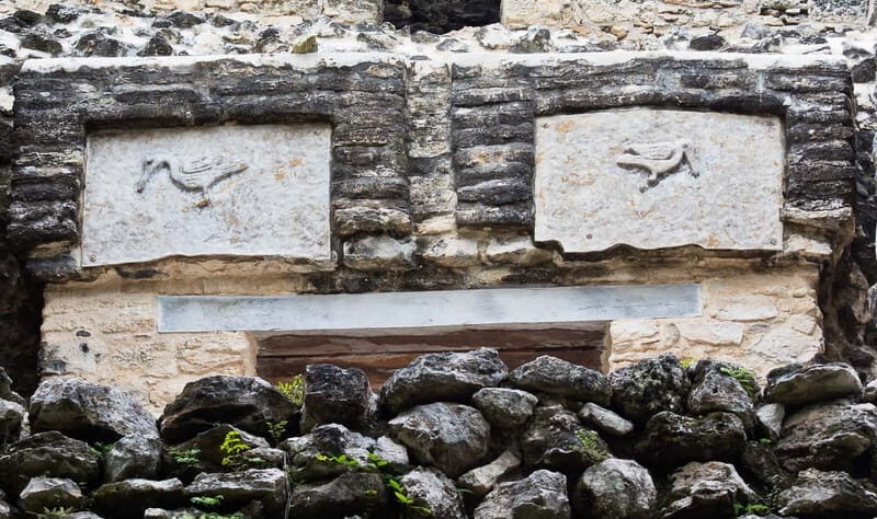 From Riviera Maya : Sian Ka'an Muyil Birdwatching with Guide - 7:00 AM birdwatch in the Mayan community