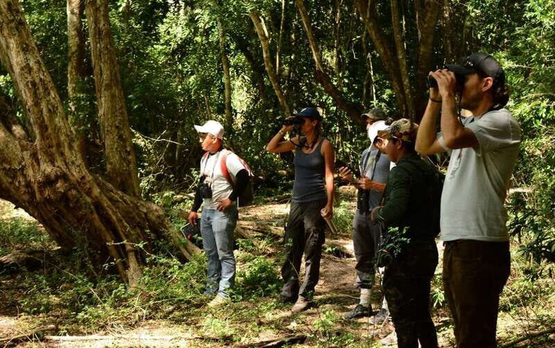From Riviera Maya : Sian Ka'an Muyil Birdwatching with Guide - Walking the jungle habitats: semi-deciduous jungle, flooded paths, and a boardwalk