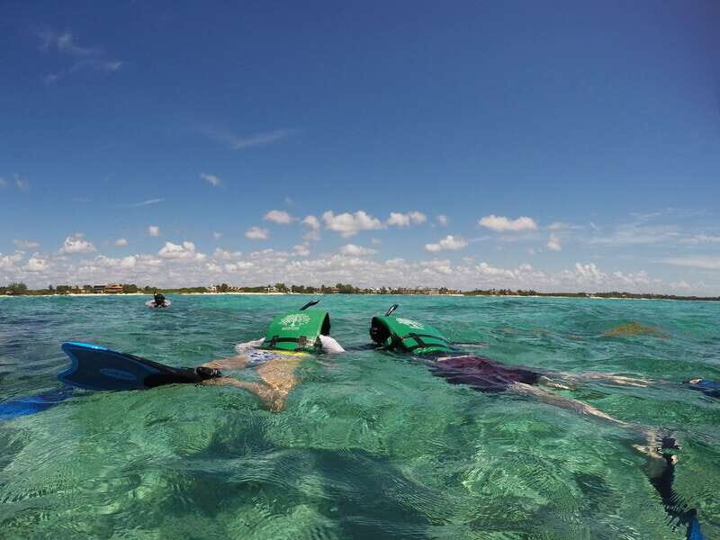 From Riviera Maya: Snorkeling & Private Cenote Half-Day Tour - What you actually need to bring (and what the tour covers)