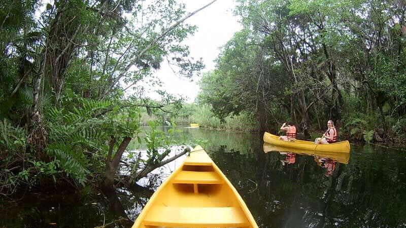 From Tulum: Four-Cenote Adventure - Practical tips: what to pack and what to expect physically