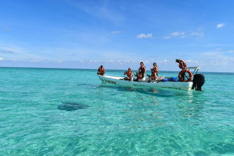 From Tulum: Sian Kaan Boat Trip Adventure with Lunch - The reef snorkeling stop: when the 2nd-largest system shows up (or doesn’t)