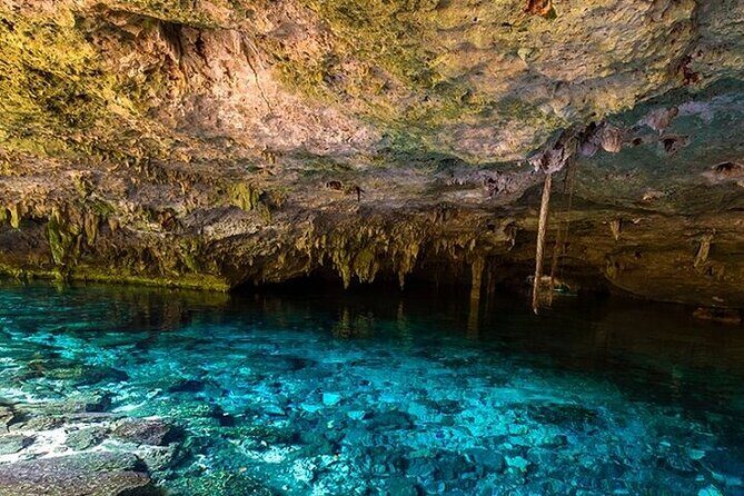 Full Day Adventure: Horses , ATV, Ziplines & Cenote w/Lunch - Cenote Swim Time: Cooler Water and Cenote Background