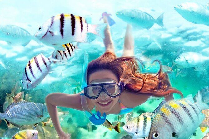 Full-Day ATV + 4 Ziplines + Cenote Swim + Yalkú Snorkeling - Key takeaways before you go
