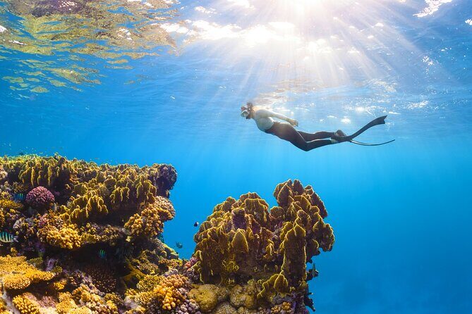 Full-Day ATV + 4 Ziplines + Cenote Swim + Yalkú Snorkeling - The zip-line circuit: jungle canopy, one water landing, and a rappel moment