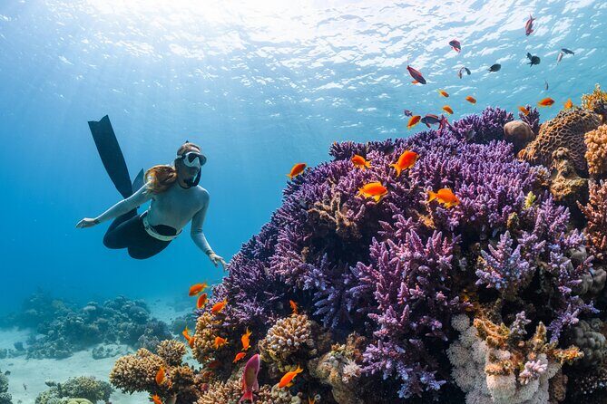 Full-Day ATV + 4 Ziplines + Cenote Swim + Yalkú Snorkeling - ATV off-road in Tulum: what you’re really signing up for