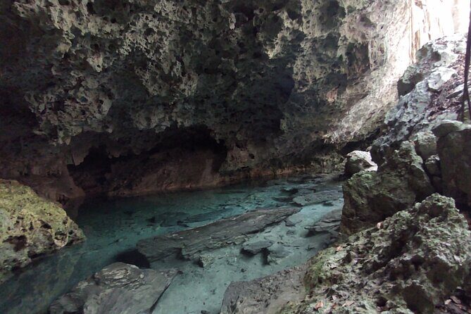 Full-dayTurtle Adventure: ATV, Zipline, Cenote & Turtle Swim - Lunch, snacks, and hammock time: how to stay on your best energy