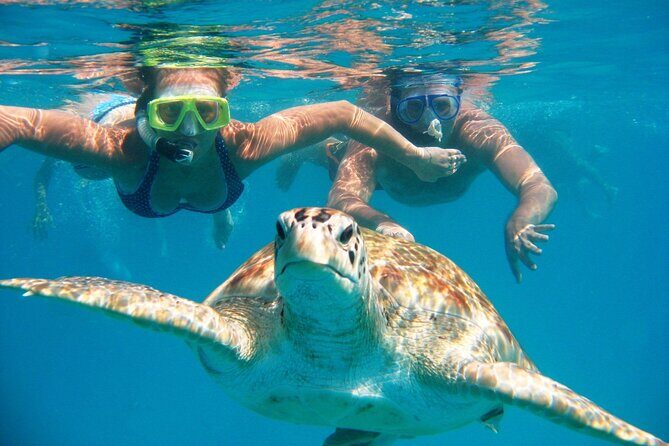 Full-dayTurtle Adventure: ATV, Zipline, Cenote & Turtle Swim - Pickup at Super Aki: the start matters more than you think