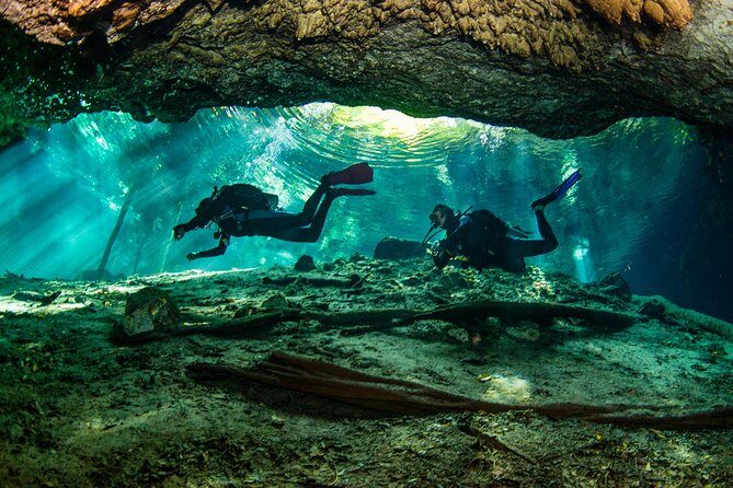 Go for 2 dives in cenote Dos ojos for certified divers - Meeting point, gear setup, and how the ~4 hours plays out