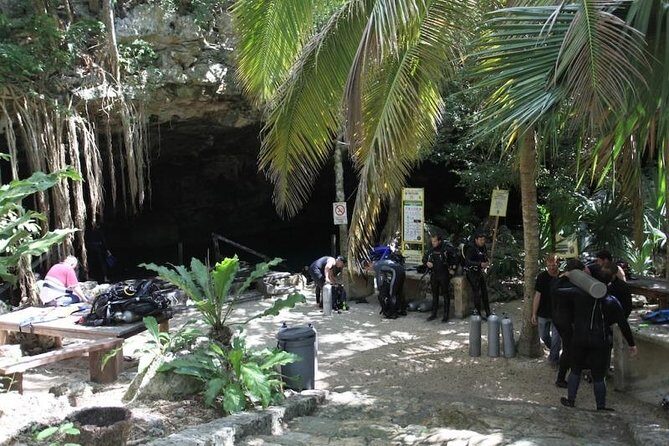 Go for 2 dives in cenote Dos ojos for certified divers - Should you book this Cenote Dos Ojos experience?