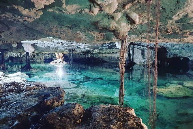 Half day Cave Cenotes Expedition - Half-Day Cave Cenotes: the real draw in Tulum